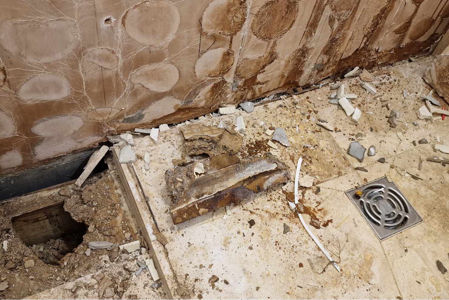 Bathroom leak detection and trace access investigation in South London