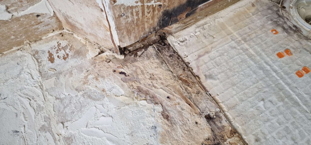 Bathroom leak investigation showing water damage and rot under flooring caused by a leaking shower